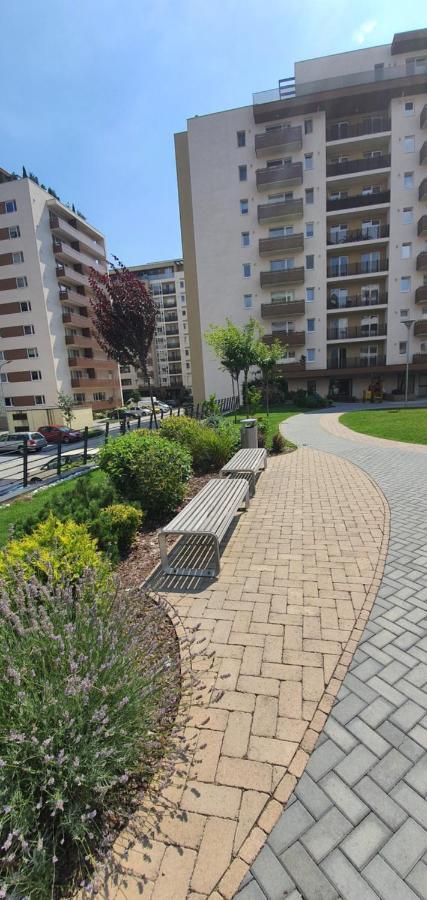 Apartment Alios Lux Brașov Exterior foto